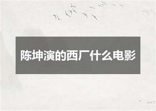 陈坤演的西厂什么电影
