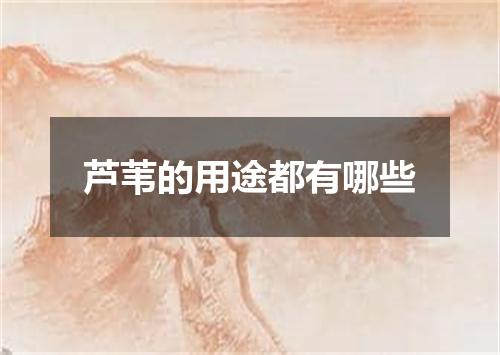 芦苇的用途都有哪些