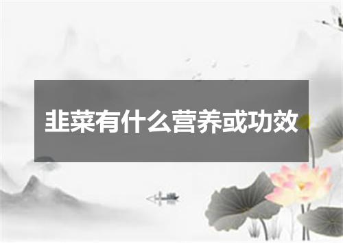 韭菜有什么营养或功效