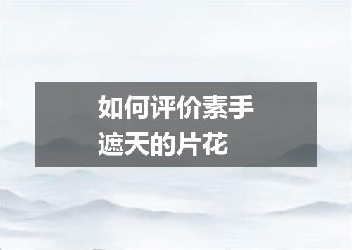 如何评价素手遮天的片花