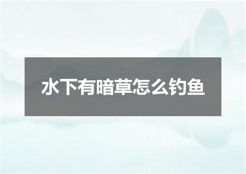 水下有暗草怎么钓鱼