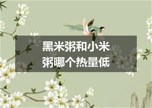 黑米粥和小米粥哪个热量低