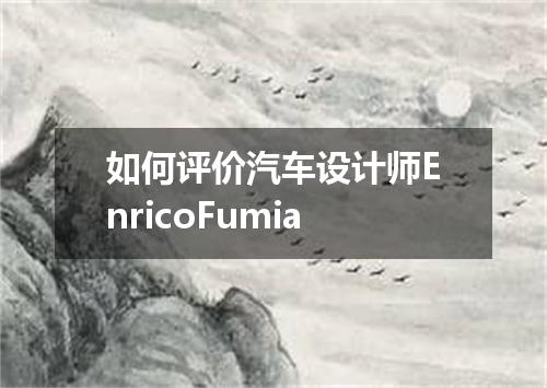 如何评价汽车设计师EnricoFumia