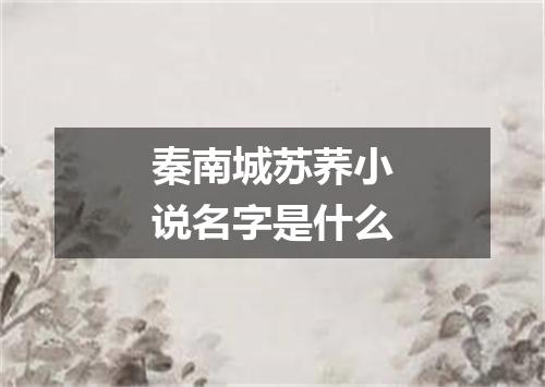 秦南城苏荞小说名字是什么