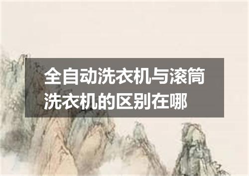 全自动洗衣机与滚筒洗衣机的区别在哪