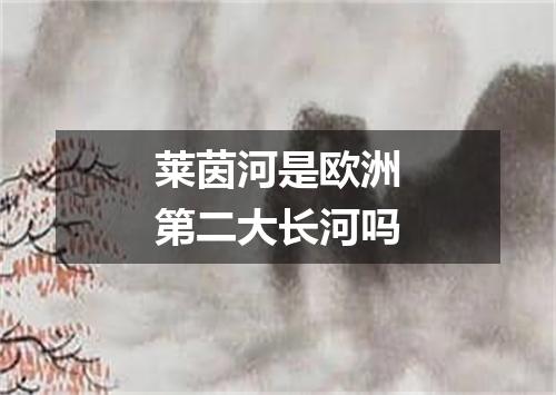 莱茵河是欧洲第二大长河吗
