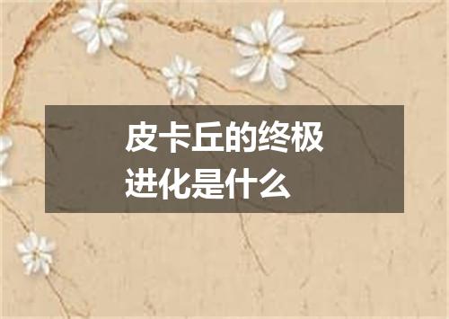 皮卡丘的终极进化是什么