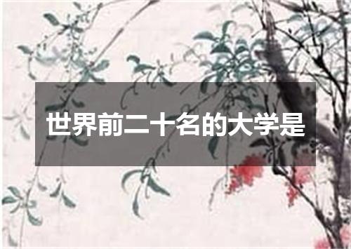 世界前二十名的大学是