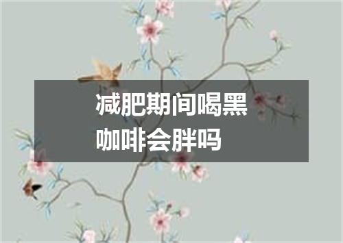 减肥期间喝黑咖啡会胖吗