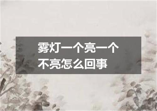 雾灯一个亮一个不亮怎么回事