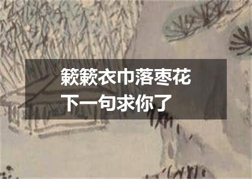 簌簌衣巾落枣花下一句求你了