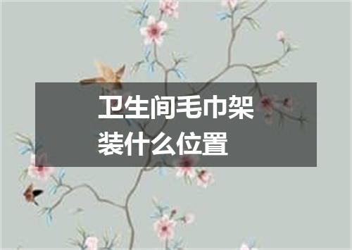 卫生间毛巾架装什么位置