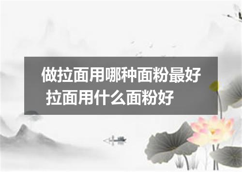做拉面用哪种面粉最好 拉面用什么面粉好