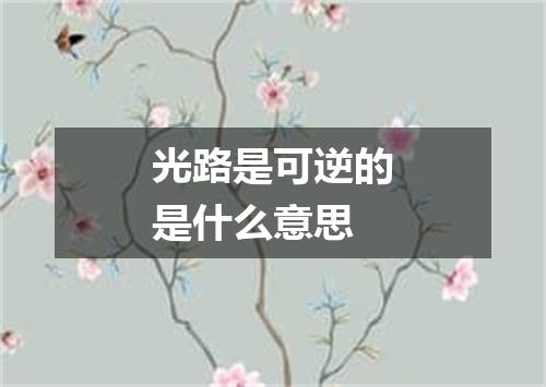光路是可逆的是什么意思