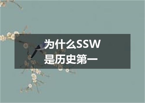为什么SSW是历史第一