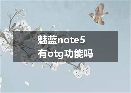 魅蓝note5有otg功能吗