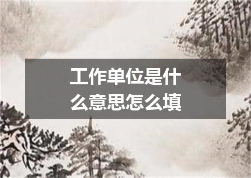 工作单位是什么意思怎么填