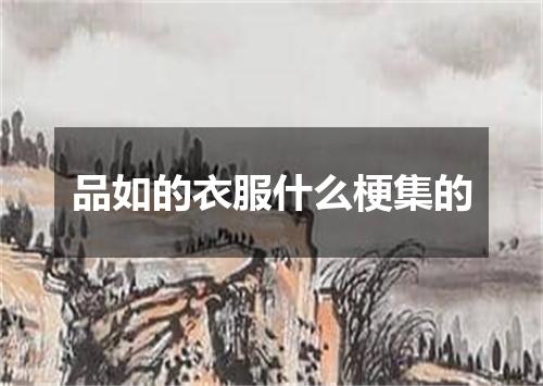 品如的衣服什么梗集的