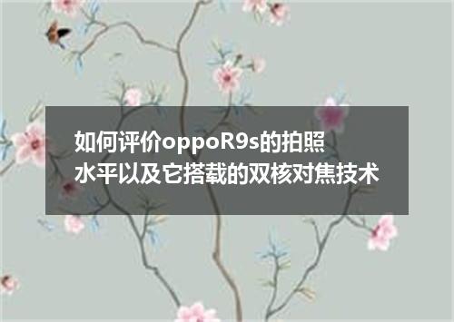 如何评价oppoR9s的拍照水平以及它搭载的双核对焦技术
