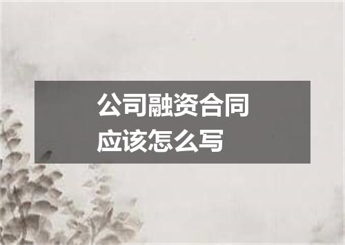 公司融资合同应该怎么写
