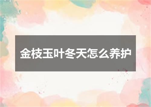 金枝玉叶冬天怎么养护