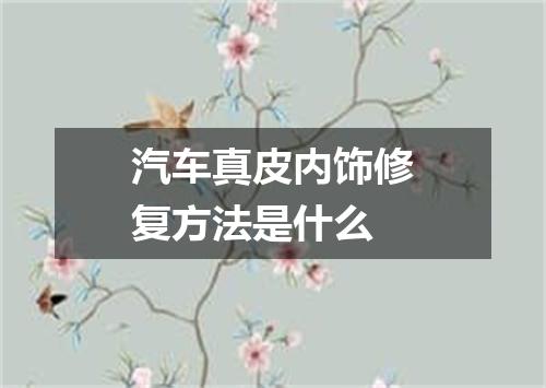 汽车真皮内饰修复方法是什么