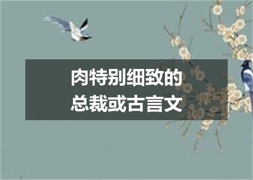 肉特别细致的总裁或古言文