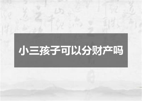 小三孩子可以分财产吗