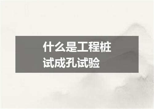 什么是工程桩试成孔试验