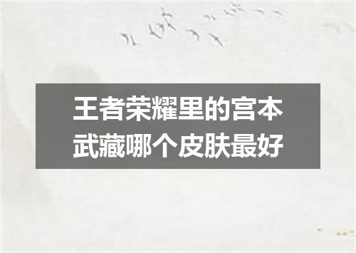 王者荣耀里的宫本武藏哪个皮肤最好
