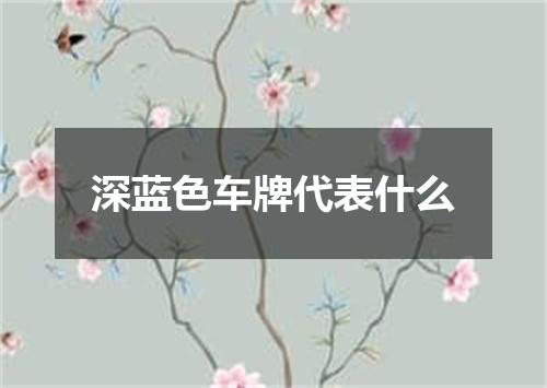 深蓝色车牌代表什么