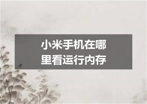 小米手机在哪里看运行内存