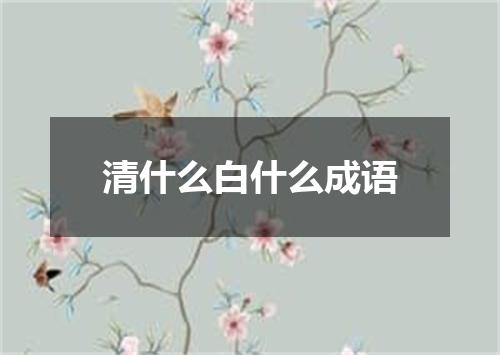 清什么白什么成语
