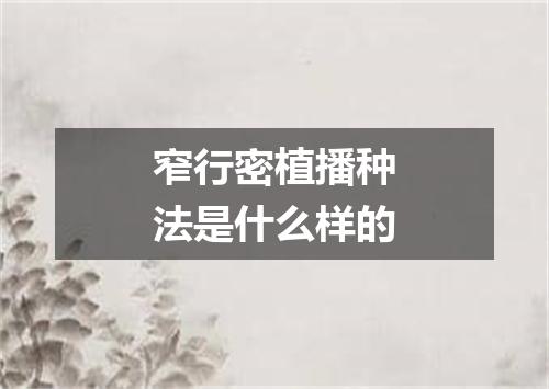 窄行密植播种法是什么样的