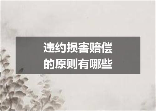 违约损害赔偿的原则有哪些