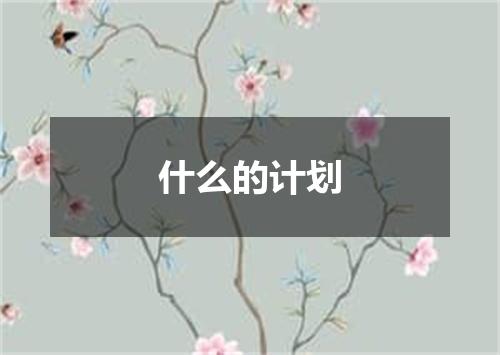 什么的计划
