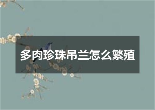 多肉珍珠吊兰怎么繁殖