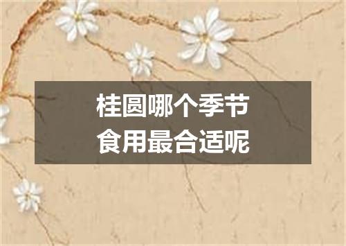 桂圆哪个季节食用最合适呢