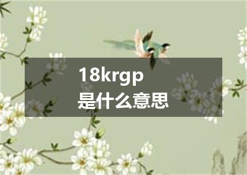 18krgp是什么意思