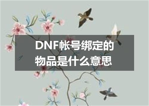 DNF帐号绑定的物品是什么意思