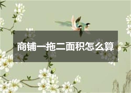 商铺一拖二面积怎么算