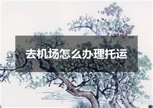去机场怎么办理托运