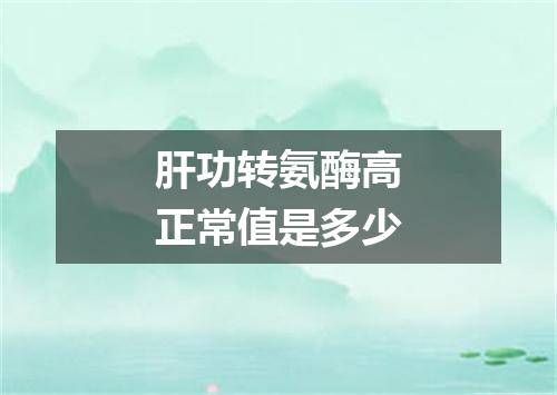 肝功转氨酶高正常值是多少