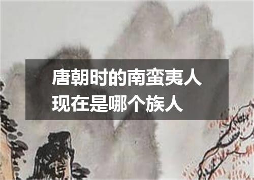 唐朝时的南蛮夷人现在是哪个族人