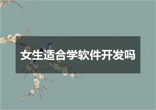 女生适合学软件开发吗