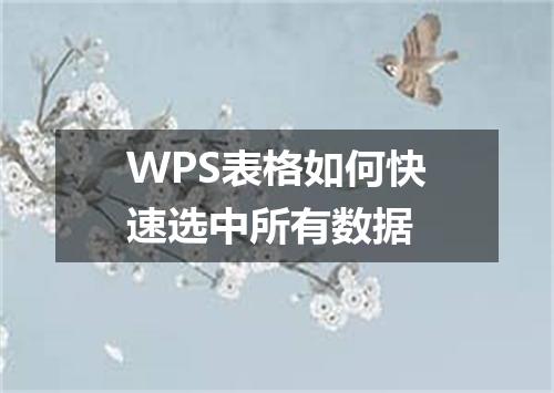 WPS表格如何快速选中所有数据