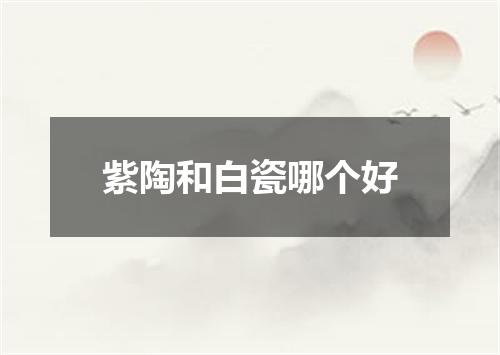 紫陶和白瓷哪个好