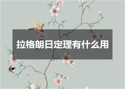 拉格朗日定理有什么用