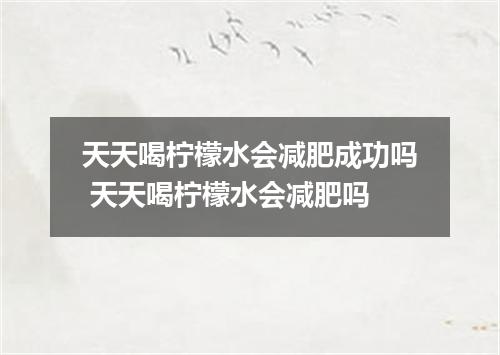 天天喝柠檬水会减肥成功吗 天天喝柠檬水会减肥吗