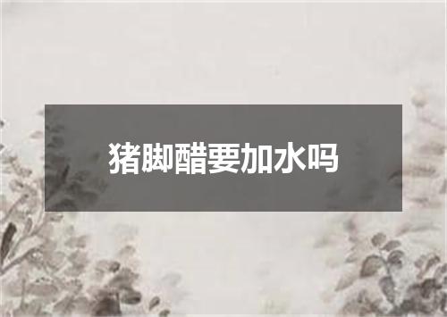 猪脚醋要加水吗